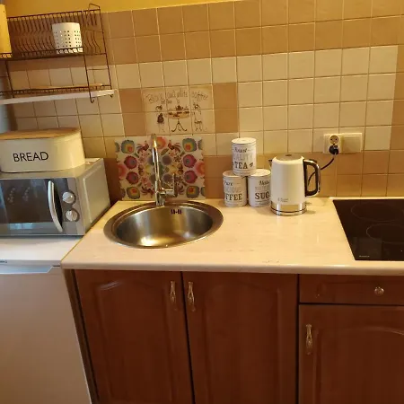 木屋 Domek Nad Mlynowka *